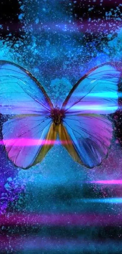 Vibrant butterfly with blue and magenta powder explosion on black background.