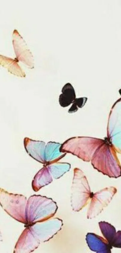 Colorful butterflies on cream background mobile wallpaper.