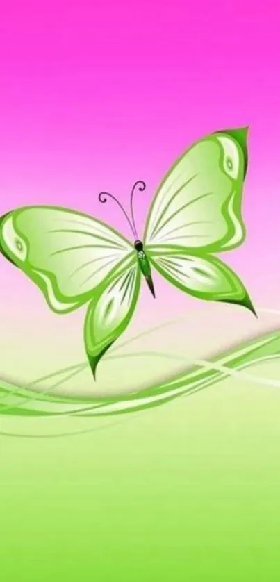 Green butterfly with pink gradient background.