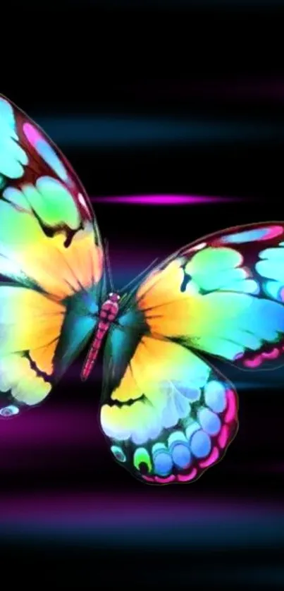 Vibrant, neon-colored butterfly on black background.