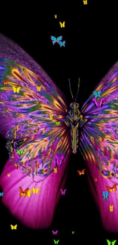 Colorful butterfly on black background mobile wallpaper.