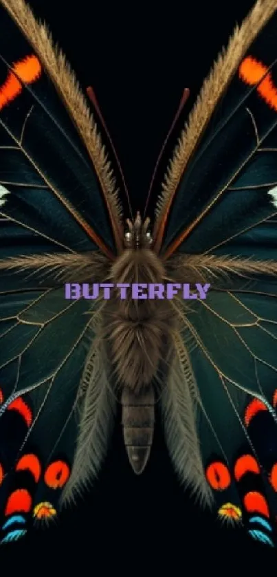 Vibrant butterfly wallpaper with vivid colors on a sleek black background.