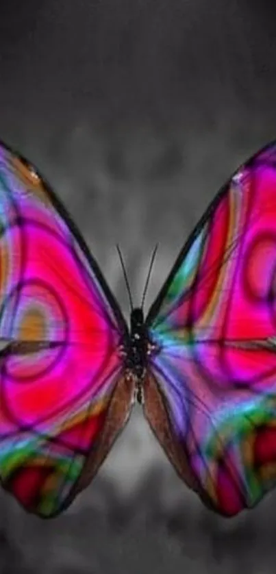 Vibrant abstract butterfly wallpaper for mobile with colorful patterns and fuchsia hues.