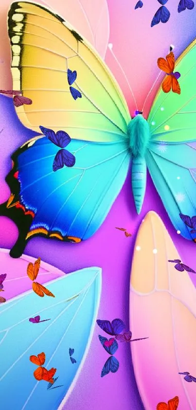 Vibrant butterfly with colorful wings on a pink background.