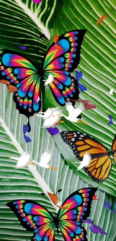 Colorful butterflies on green leaves wallpaper.