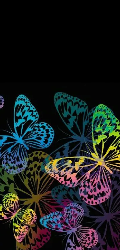 Colorful butterfly pattern on black background.