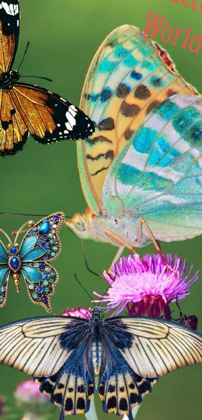 Colorful butterflies on a vibrant floral background.