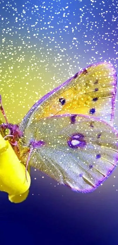 Vibrant butterfly on a yellow flower with a blue background.