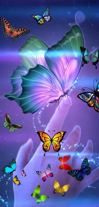 Vibrant butterflies on hand, blue background wallpaper.