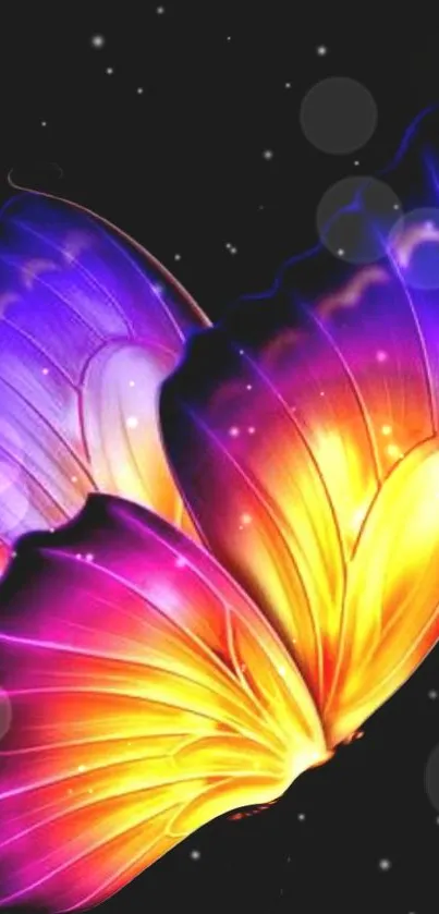 Vibrant butterfly on dark background, with radiant violet and orange hues.