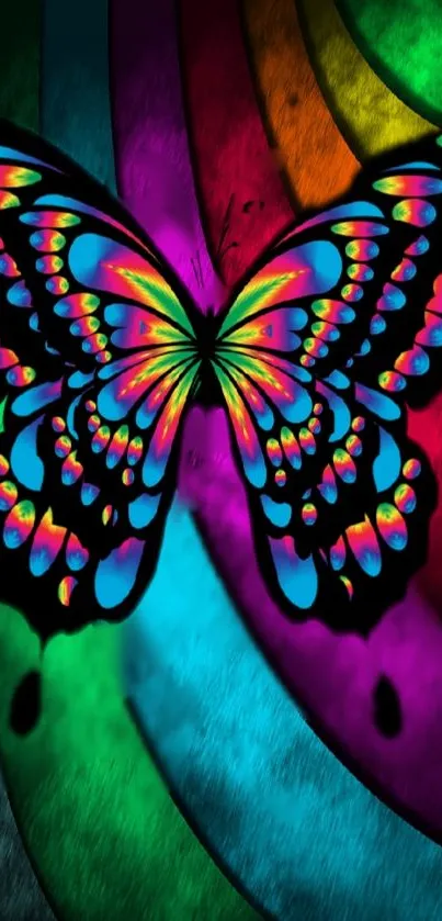 Colorful butterfly on a rainbow background.