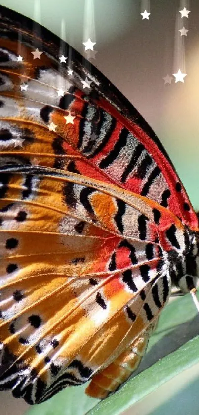 Vibrant butterfly with orange wings perched on a green leaf.