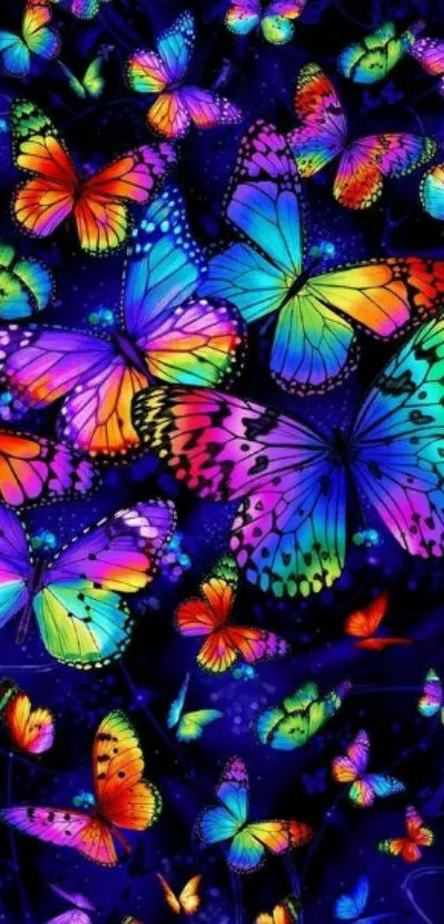 Vibrant colorful butterflies on a dark background wallpaper.