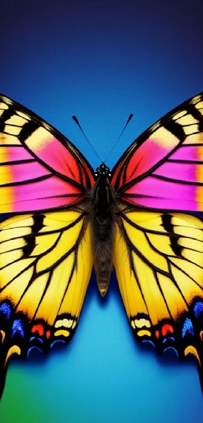 Colorful butterfly with yellow and pink wings on a gradient background.