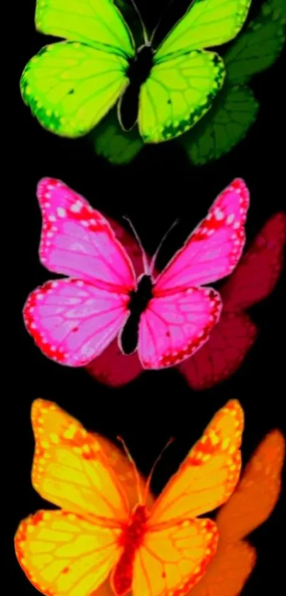 Vibrant neon butterflies on black background wallpaper.