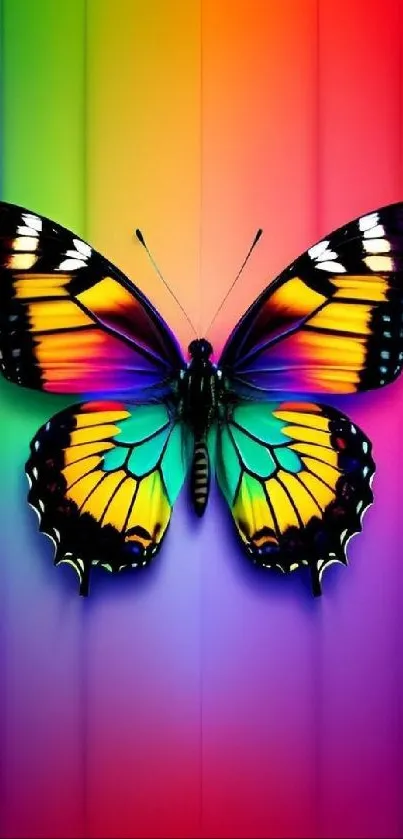 Vibrant rainbow butterfly on colorful gradient background.