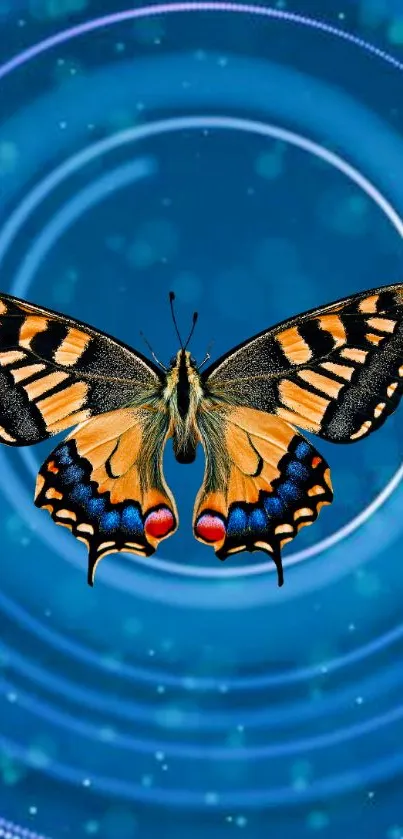 Colorful butterfly with a blue circular background.