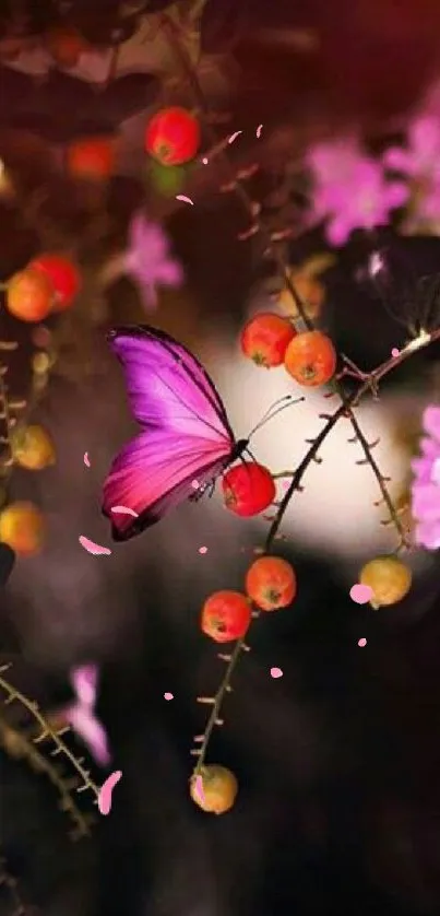 Purple butterfly and berries in nature wallpaper