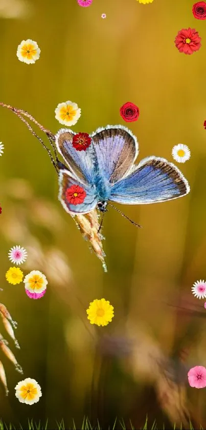 Blue butterfly amidst colorful flowers on an olive green background.