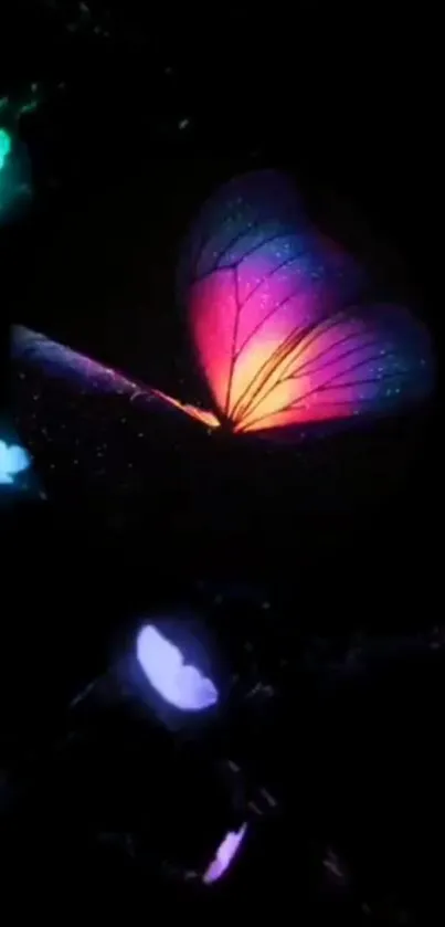 Vibrant neon butterfly on a dark background in vivid colors.