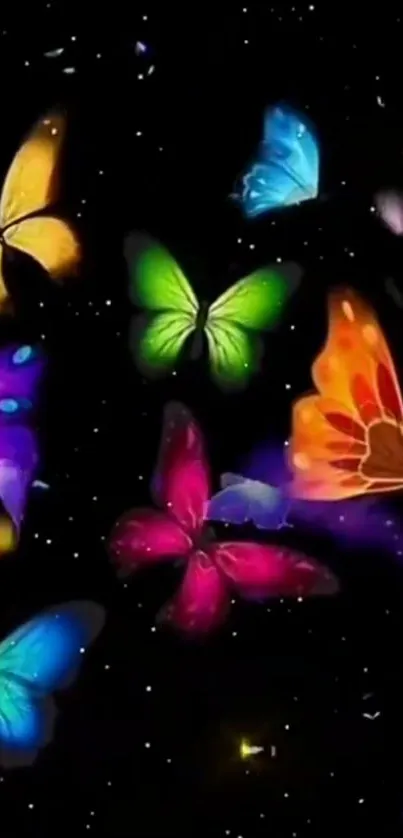 Colorful butterflies on a black night sky background.