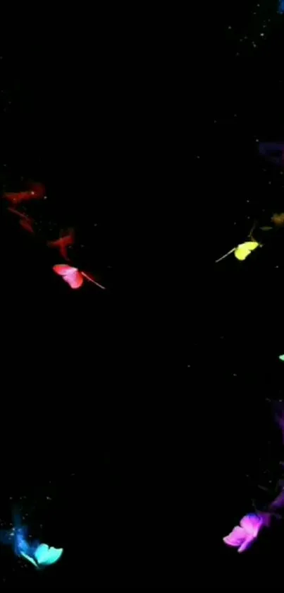 Colorful glowing butterflies on a dark background.