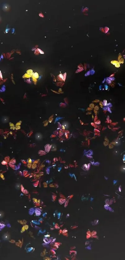 Colorful butterflies on a black background wallpaper.