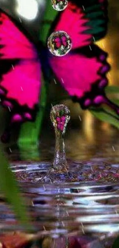 Vibrant pink butterfly over bamboo by water ripple.