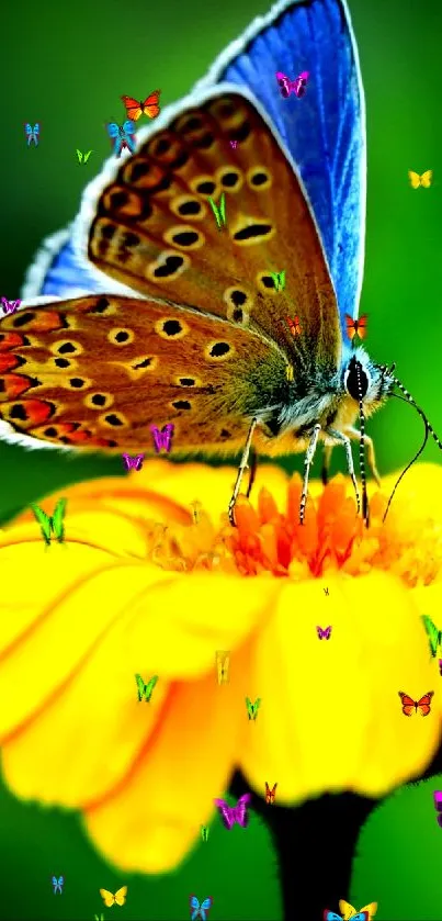 Butterfly perched on a vibrant yellow flower, against a green background.