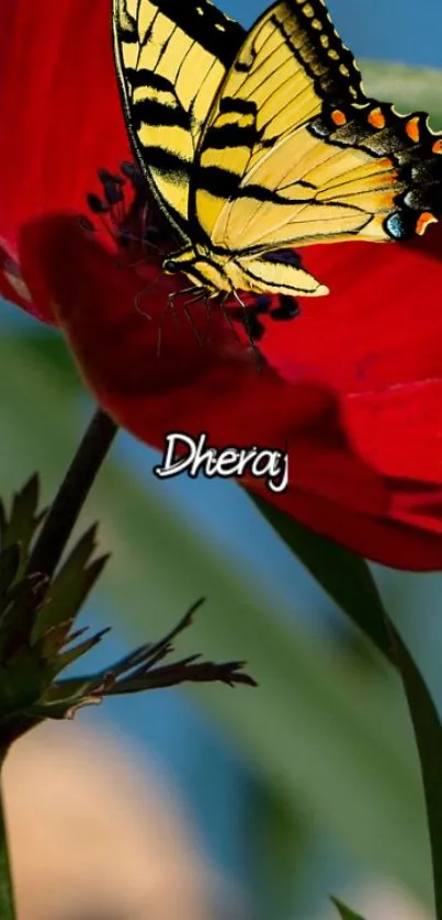 A vibrant butterfly sits delicately on a vivid red flower against a natural backdrop.