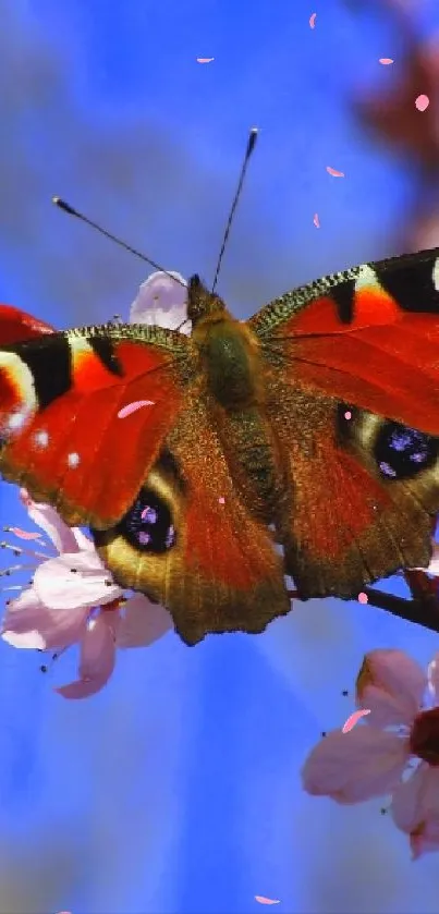Vibrant butterfly sitting on spring blossoms under a blue sky.