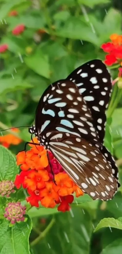 Butterfly perched on orange flowers with lush green leaves.