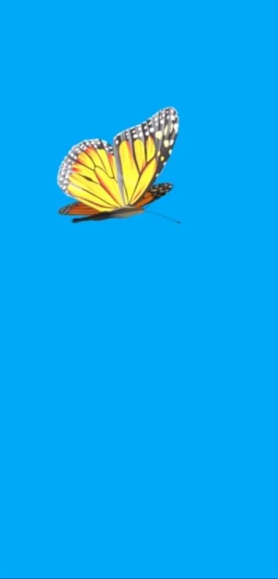 A vibrant butterfly on a bright blue background mobile wallpaper.