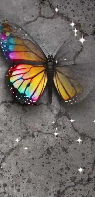 Colorful butterfly on gray concrete background.