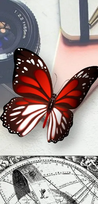 Red butterfly on artistic background with camera.