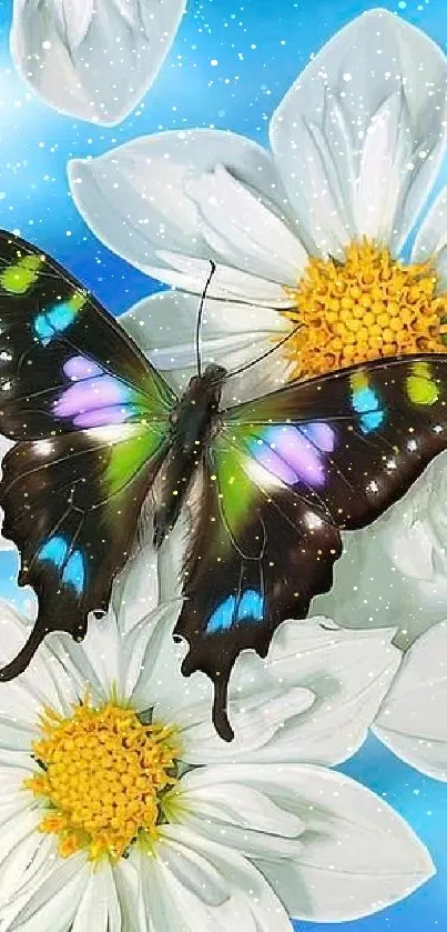 Colorful butterfly on white daisies with a blue backdrop.