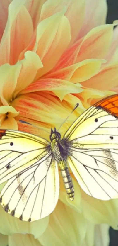 Butterfly resting on a vibrant dahlia flower in a mobile wallpaper.