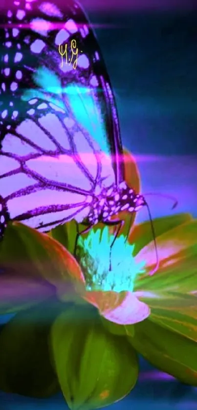 Vibrant purple butterfly on a flower.