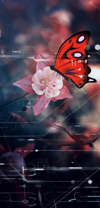 Red butterfly on pink flower with dark blue background.