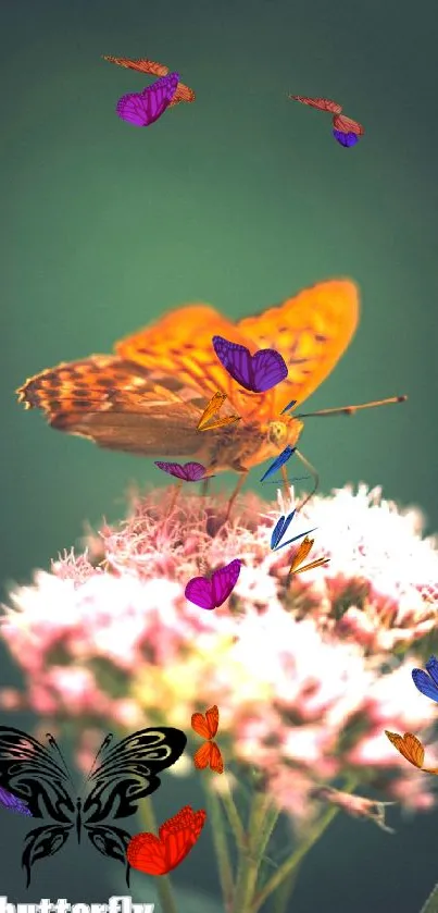 Orange butterfly on pink flowers with green background wallpaper.