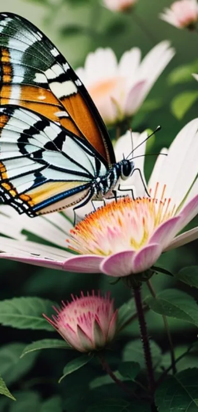 Butterfly delicately perched on a vibrant flower.