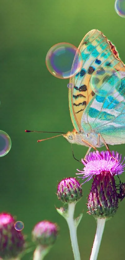 Butterfly on purple flower with green background and bubbles.