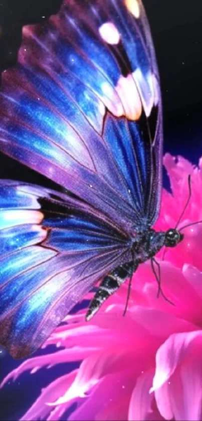 Iridescent butterfly perched on pink flower.