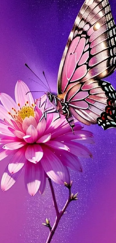 Purple butterfly perched on pink flower against a purple background.