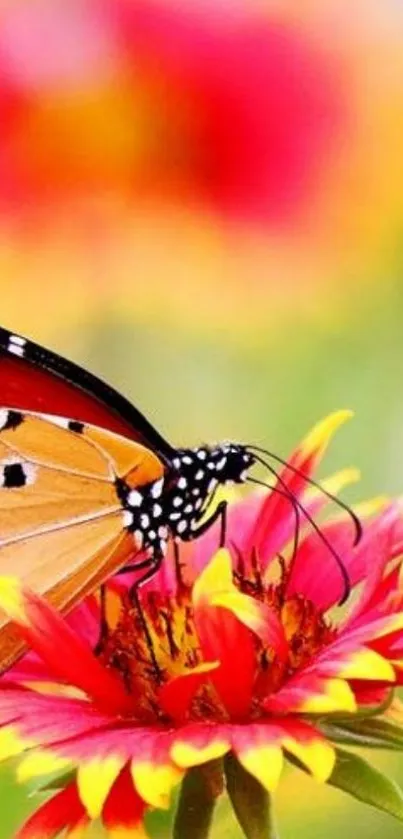 A vibrant butterfly on a colorful flower with a blurred background.