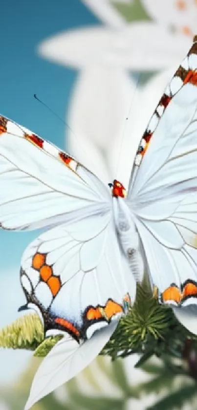 A vibrant butterfly rests on a flower, set against a light blue sky background.