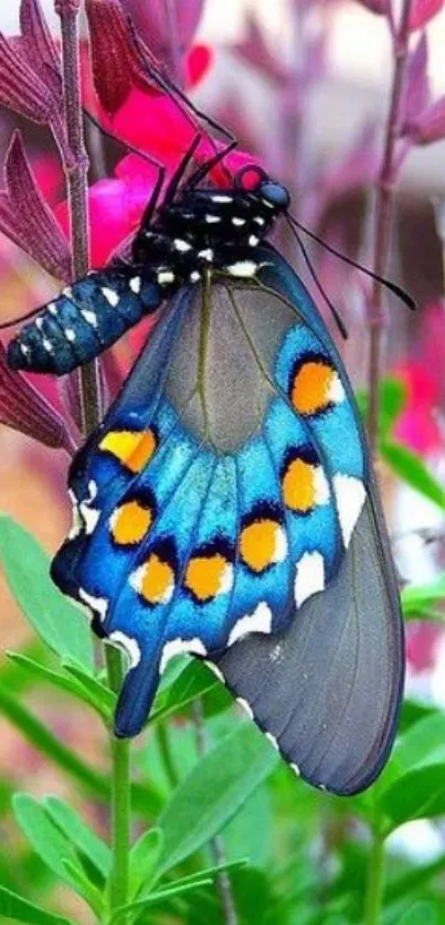 A colorful butterfly resting on a vibrant flower with vivid green leaves.