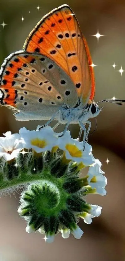 Vibrant orange butterfly resting on a blooming flower.