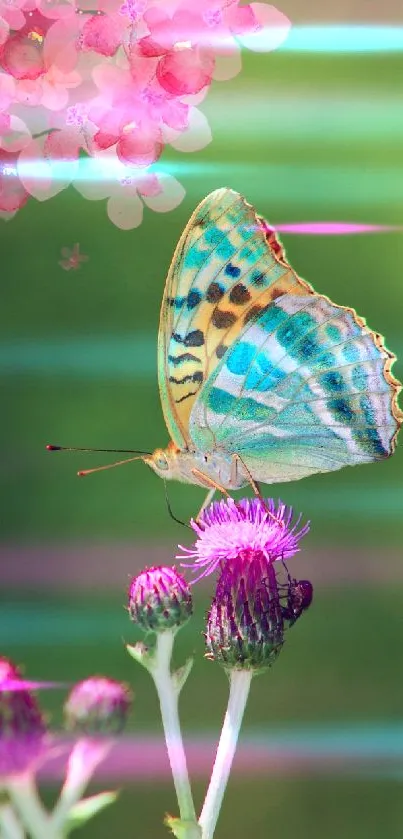 Colorful butterfly on purple flower against green, pink floral backdrop.