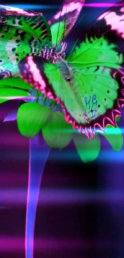 Vibrant butterfly perched on a glowing flower with deep green and pink tones.